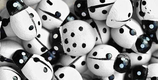 white ladybug toys