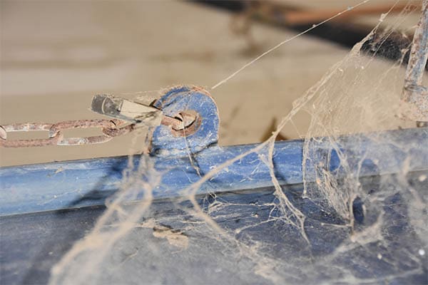 cobwebs covering some outdoor equipment