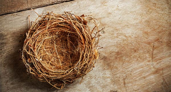 empty bird nest on wooden boards 