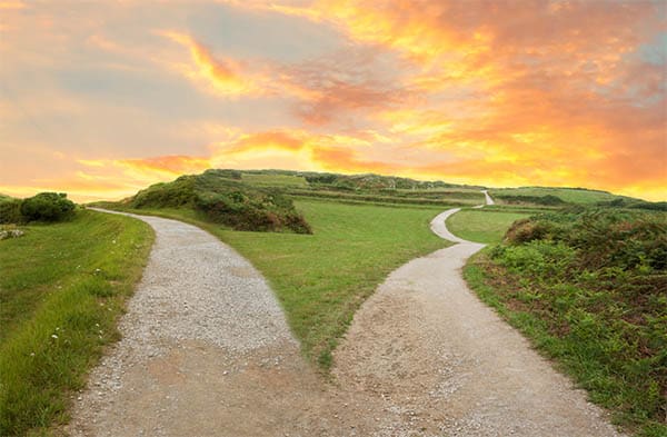 a forked path in a country trail