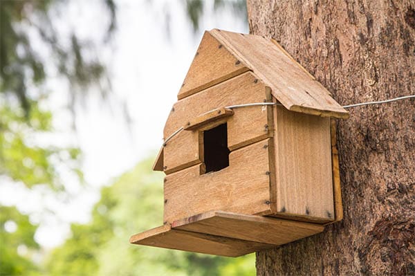 birdhouse tied to a tree trunk with string