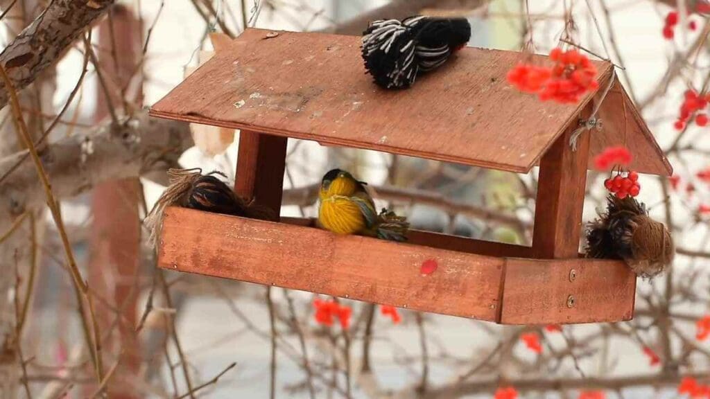 birdhouse symbolism