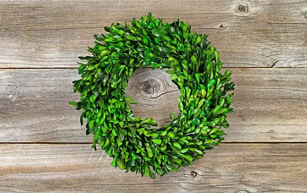 boxwood wreath