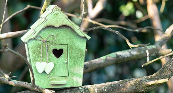 cute green birdhouse with white hearts 