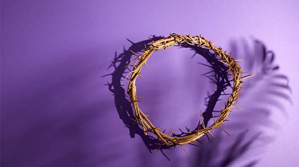 crown of thorns on a purple background