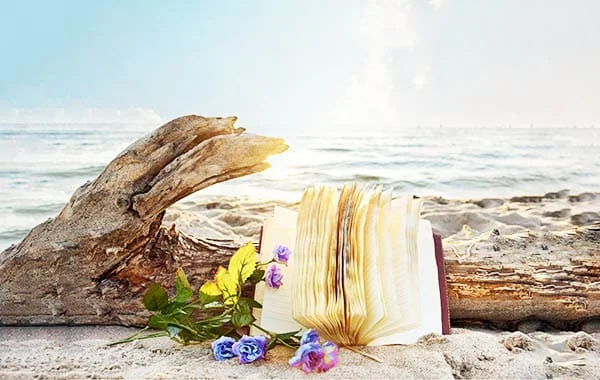 driftwood, with a notebook, and flowers placed in front of it