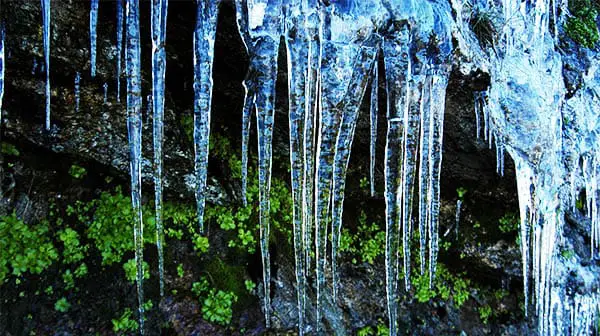 rich light blue icicles inside a mossy cave