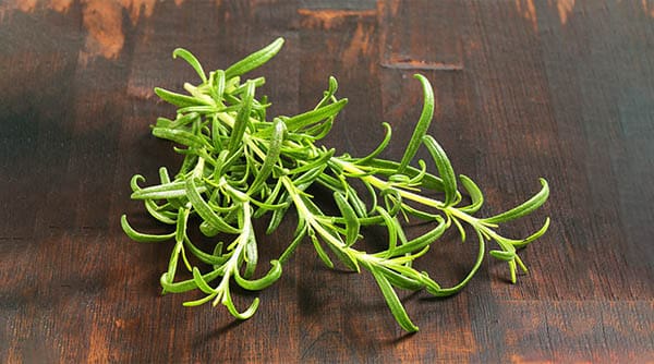 a sprig of rosemary on a table