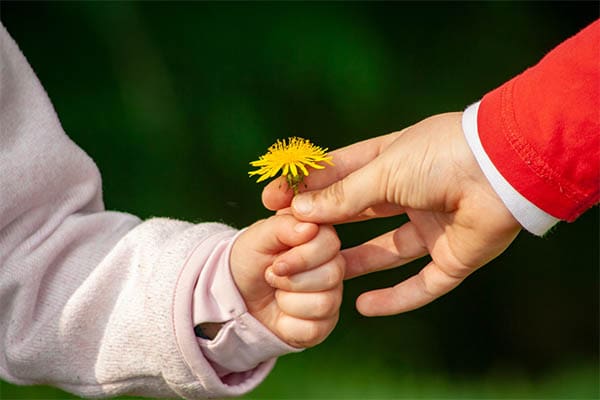 one person handing a dandelion to another