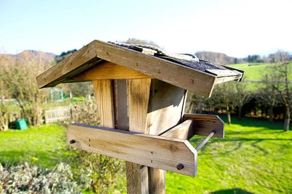 homemade birdhouse