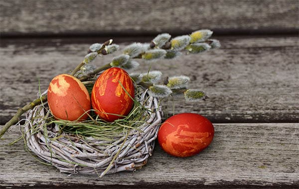 three red eggs in a bird nest representing fertility