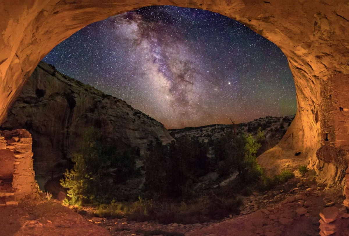 cosmos