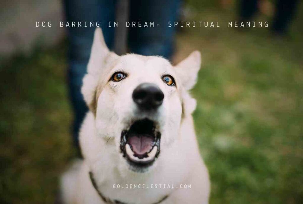 DOG BARKING IN DREAM MEANING