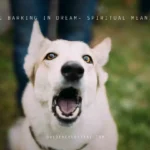 DOG BARKING IN DREAM MEANING