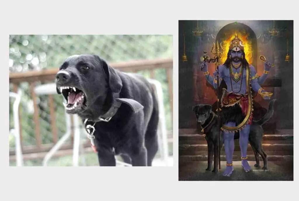 dog barking in dreams hindu