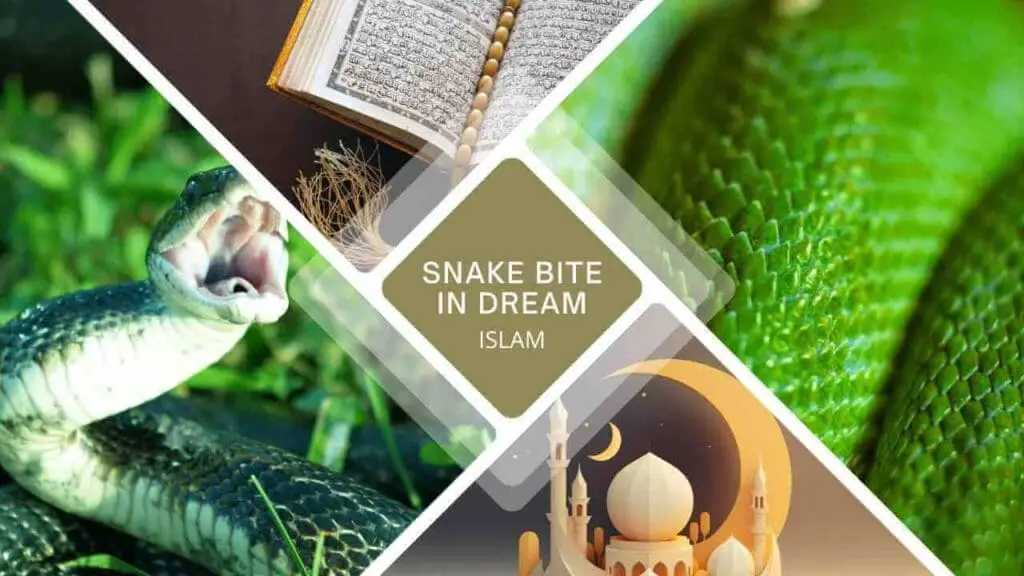 dreaming of being bitten by a snake in islam