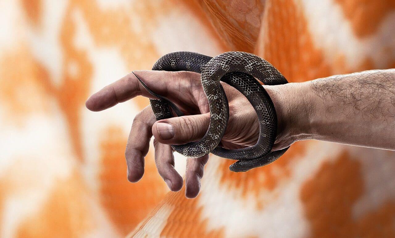 what-is-the-biblical-meaning-of-snakes-in-a-dream