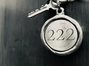 Meaning of the Number 2 22