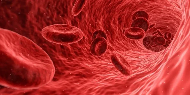 Red Blood Cells as a symbol for life energy